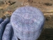 detail_486_GEDC1373.JPG