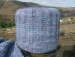 detail_486_GEDC1374.JPG