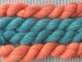 detail_494_GEDC0314.JPG
