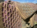 detail_504_GEDC1524.JPG