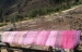 detail_522_GEDC1625.JPG
